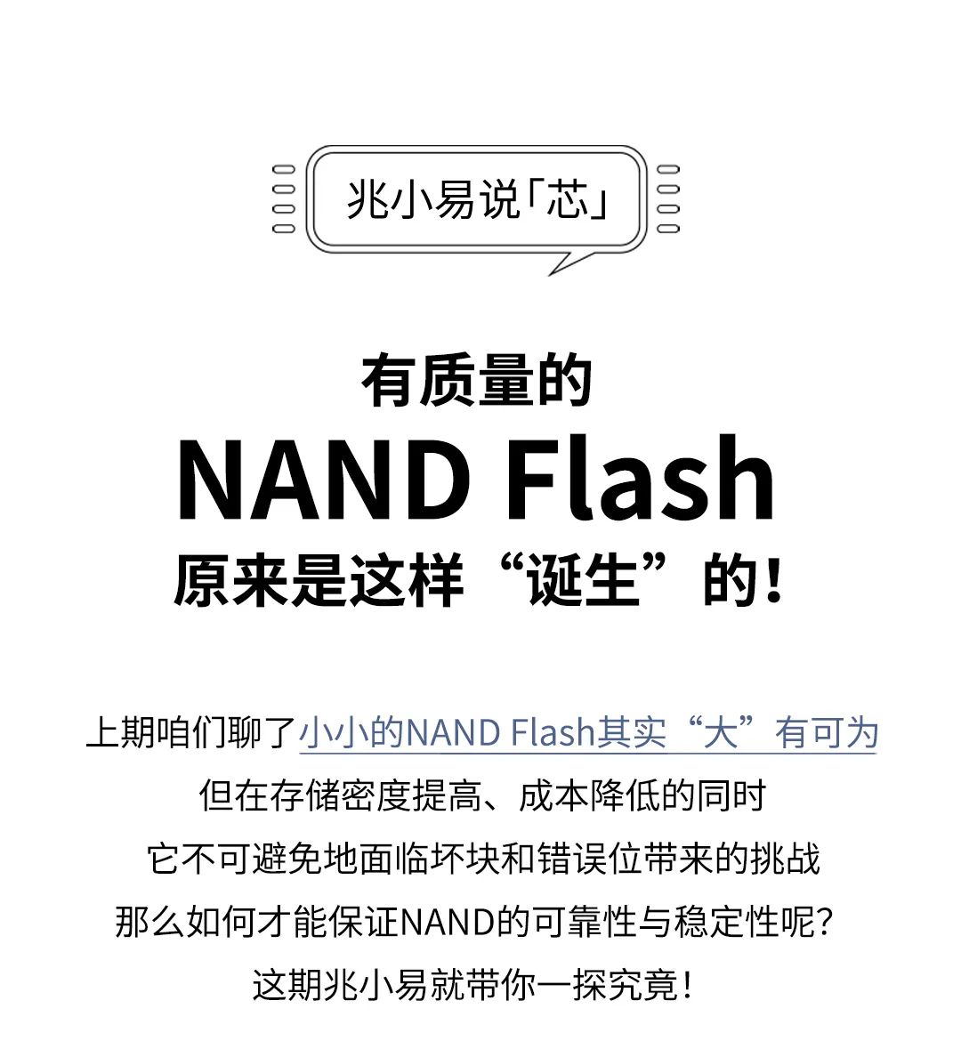 Zhaoxiao Yi Discusses 'Core' | The Quality of NAND Flash: How It Is 'Born'
