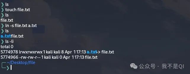 Exploring Linux: The Secrets of File and Link Operations