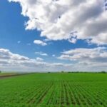 Understanding Elliptic Curve Cryptography with Ease
