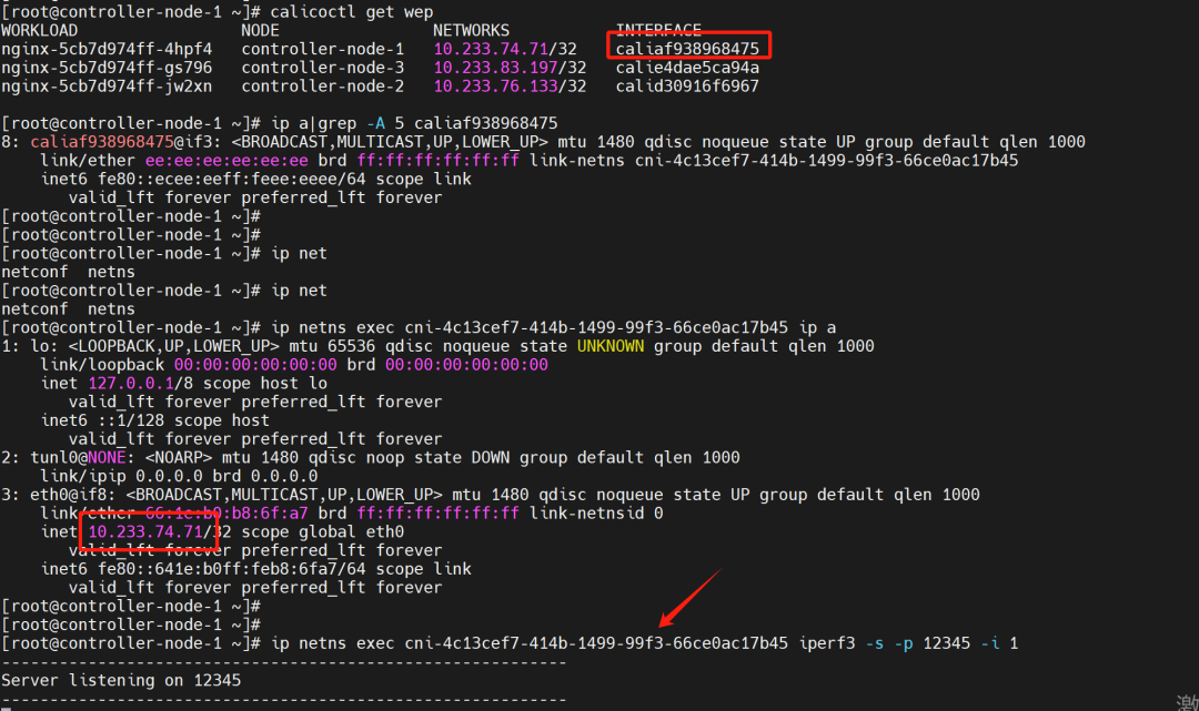 Comparison and Analysis of Container Network Plugins and the Impact of Bare Metal vs Virtualized Network Performance