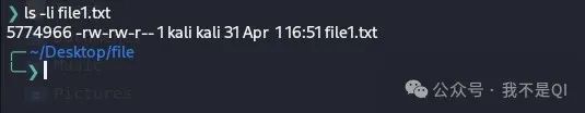 Exploring Linux: The Secrets of File and Link Operations
