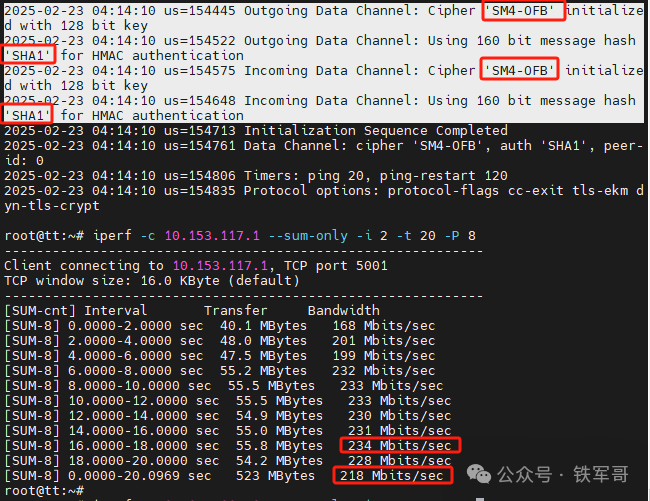 Performance Comparison of AES and SM4 Encryption Algorithms Using OpenVPN: National Secret Algorithm Doesn't Seem So Bad
