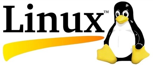 Essential Linux Operations: How to Properly Discard Command Output and Error Messages
