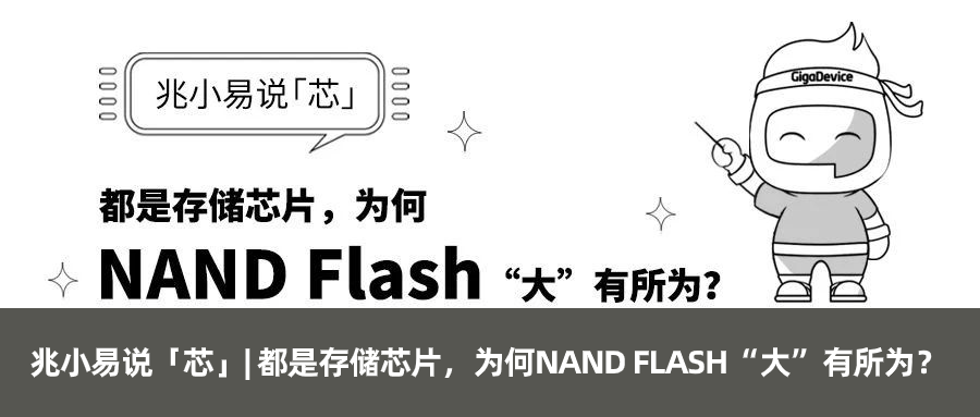 Zhaoxiao Yi Discusses 'Core' | The Quality of NAND Flash: How It Is 'Born'