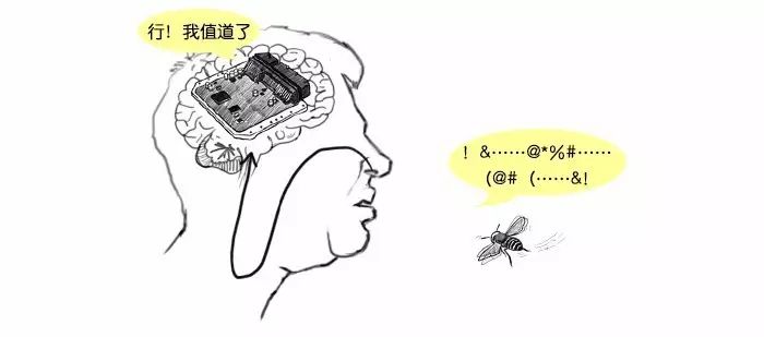 Understanding ECUs: How Much Do You Know?