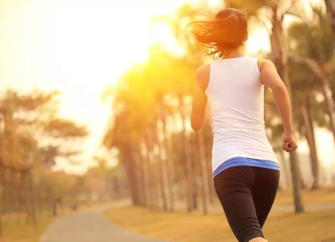 How Programmers Can Maintain Their Health
