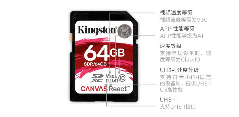 Collector's Guide: Choosing Camera Storage Cards (SD Cards)