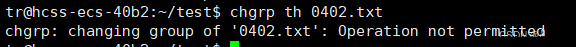 Comprehensive Analysis of Linux Permissions: An Essential Guide from Beginner to Expert!