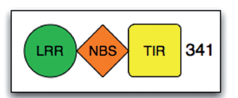 Introduction to the Plant Resistance Gene Database (PRGDB)