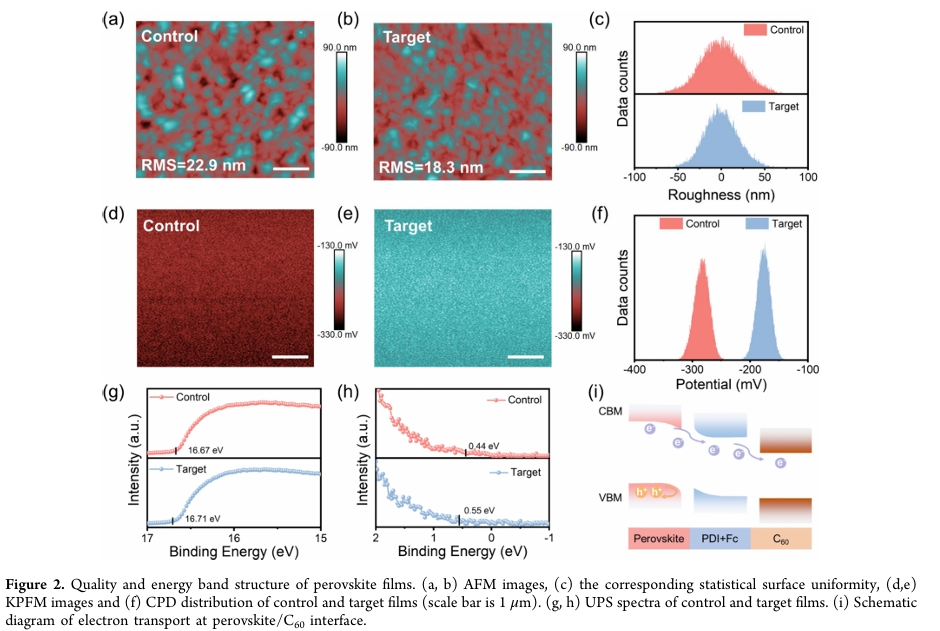 Latest ACS from Wang Hongqiang's Team: Synergistic Interfacial Dipole and π-Conjugation Effects Enhance Efficiency of Tin-Based Perovskite Solar Cells