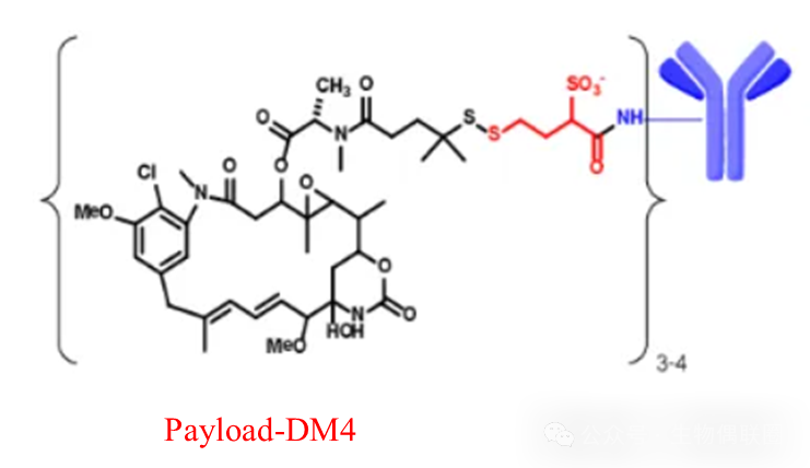 Summary of ADC Drugs Coupled with Lysine Approved Worldwide