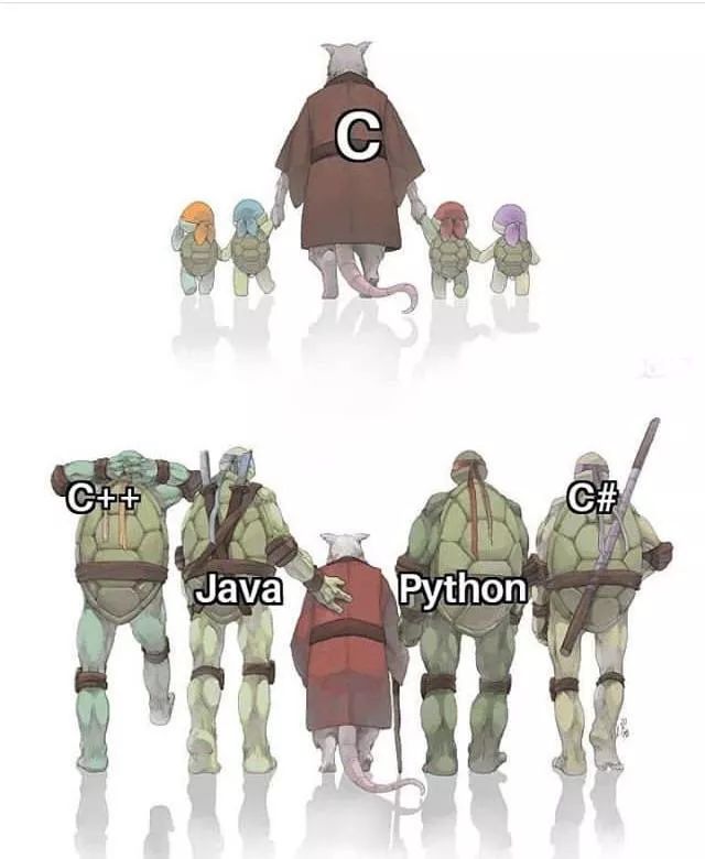 The Power of C Language