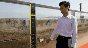 Can Smart Agriculture Help Achieve High Yields of Saline-Alkali Resistant Rice?