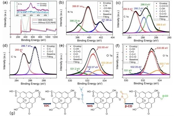 Advancements in Research on Surface-Functionalized Optical Fiber Sensors