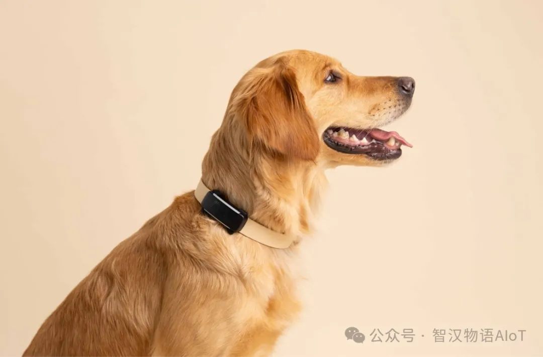 Smart Pet Tracker Solution Based on Bluetooth BLE Technology