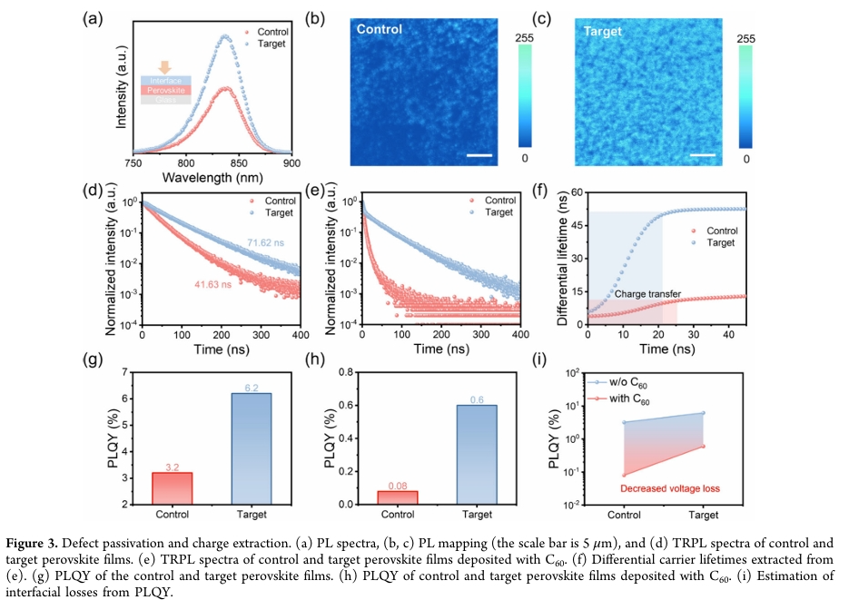 Latest ACS from Wang Hongqiang's Team: Synergistic Interfacial Dipole and π-Conjugation Effects Enhance Efficiency of Tin-Based Perovskite Solar Cells