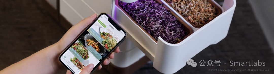 How to Choose the Right Communication Protocol for Your Smart Home Solution?