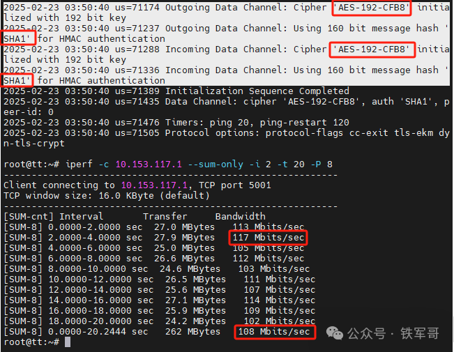 Performance Comparison of AES and SM4 Encryption Algorithms Using OpenVPN: National Secret Algorithm Doesn't Seem So Bad