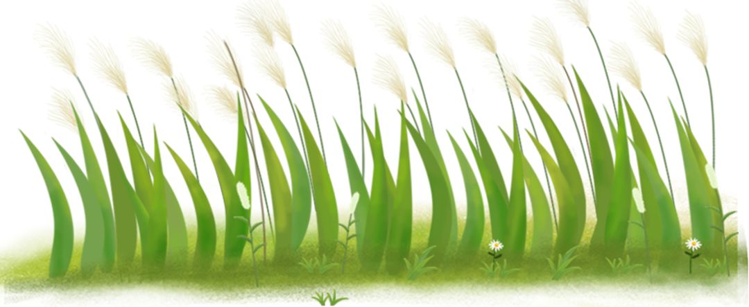 Can Smart Agriculture Help Achieve High Yields of Saline-Alkali Resistant Rice?
