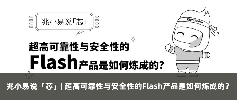 Zhaoxiao Yi Discusses 'Core' | The Quality of NAND Flash: How It Is 'Born'