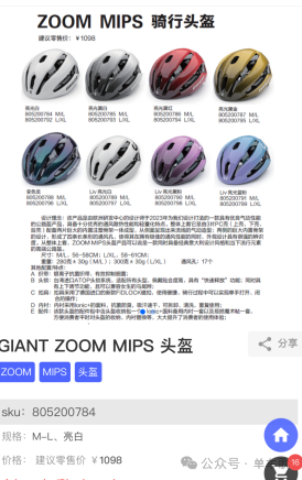 Giant ZOOM MIPS Cycling Helmet