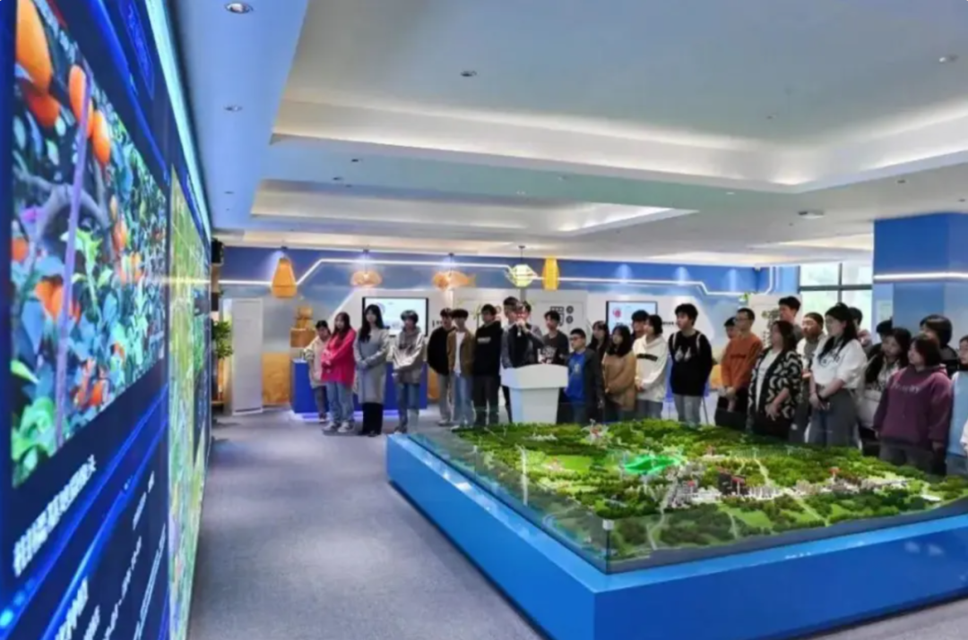 ICC Economy | Digital Village Construction: A New Engine for China's Economic Development