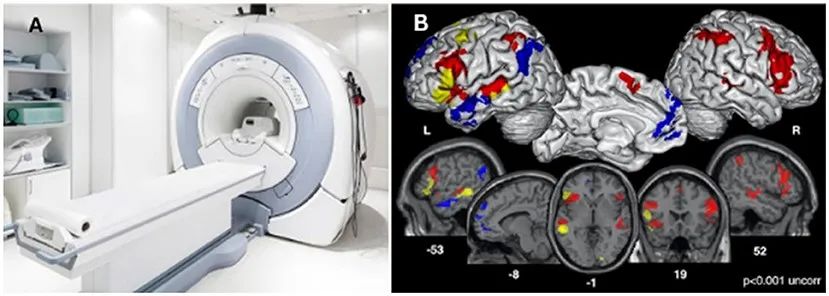Music and Art: Tuning and Shaping Your Brain's Structure