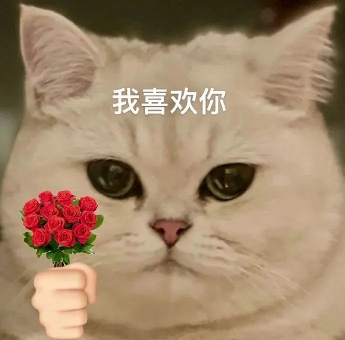 Emojis: I Really Need to Train You Well