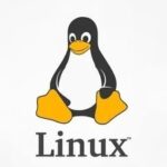 Embedded Linux: fcntl() and ioctl() Functions
