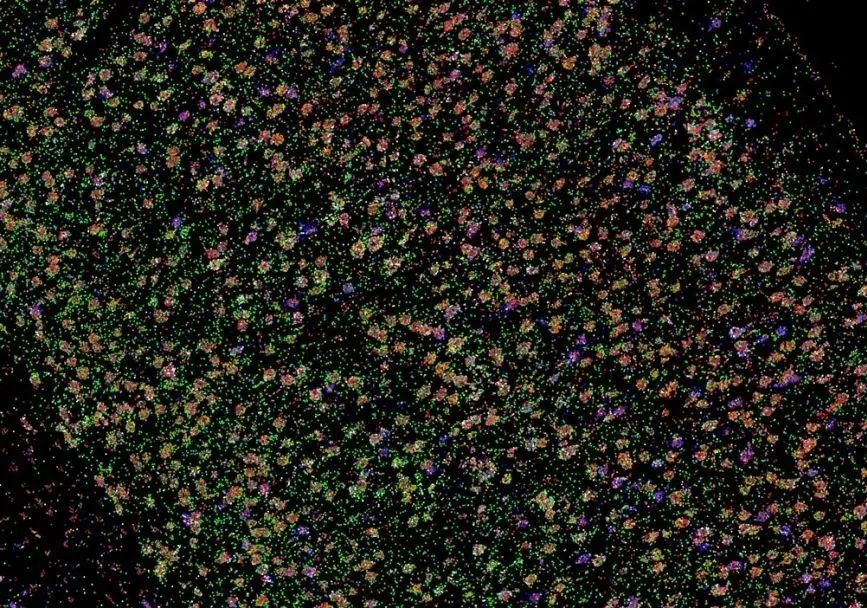Python Upgrade: New Image Tool for Multidimensional Data Visualization
