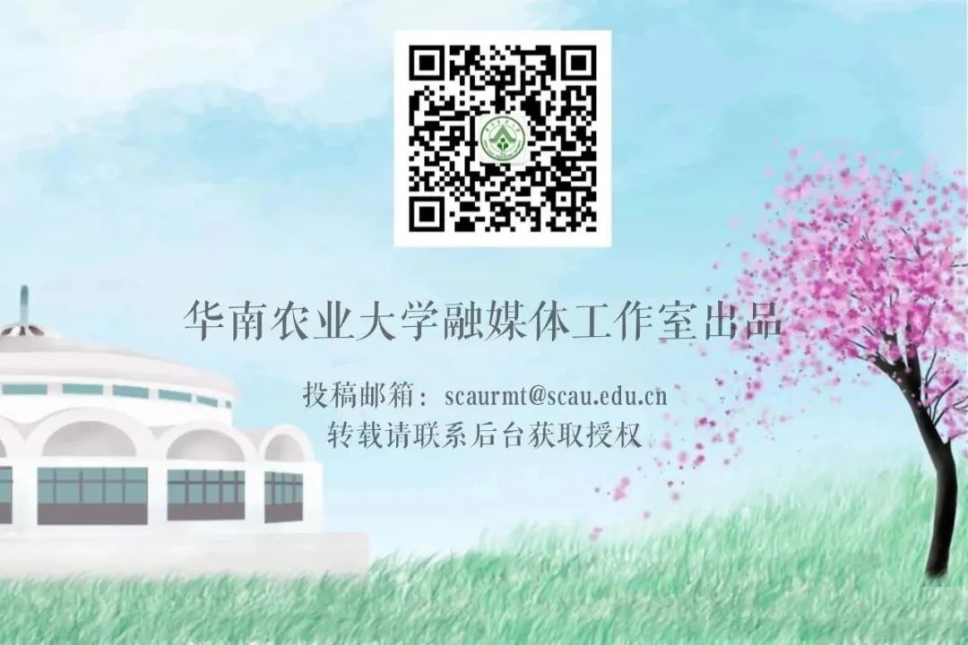 First Prize at the National Competition! When Chaoshan Kung Fu Tea Meets Smart Home Technology, Huazhong Agricultural University Students Unleash Their Creativity!