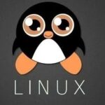 The GNU/Linux Family