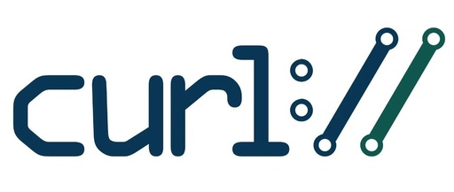 Comprehensive Interpretation of the C Language Code Standards by the curl Team