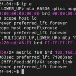 Detailed Explanation of Linux Network Card Parameters: Understanding 'ip a' Output with Real Cases!