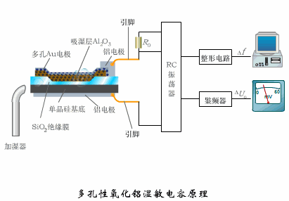 Dynamic Working Principles of Sensors: Gain Knowledge in Minutes!