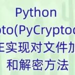 PyCrypto: The Guardian of Cryptographic Algorithms
