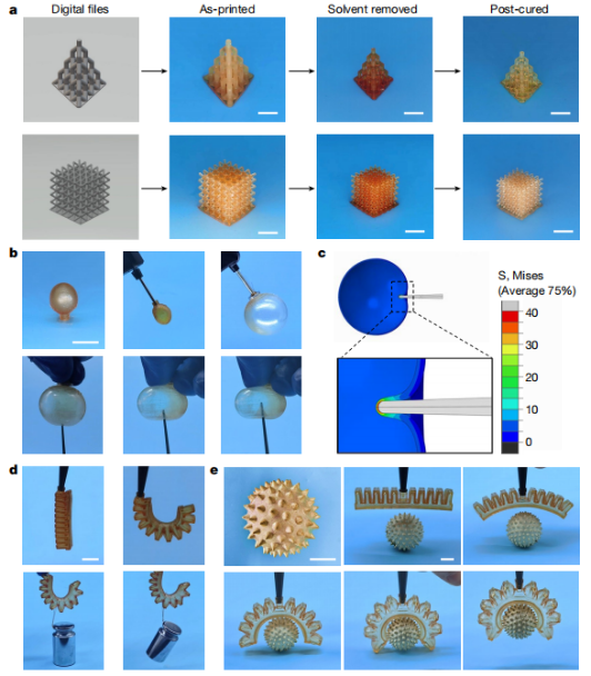 New Breakthrough in 3D Printing Technology by Chinese Scientists