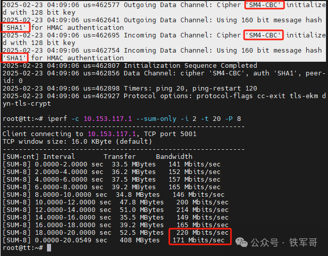 Performance Comparison of AES and SM4 Encryption Algorithms Using OpenVPN: National Secret Algorithm Doesn't Seem So Bad