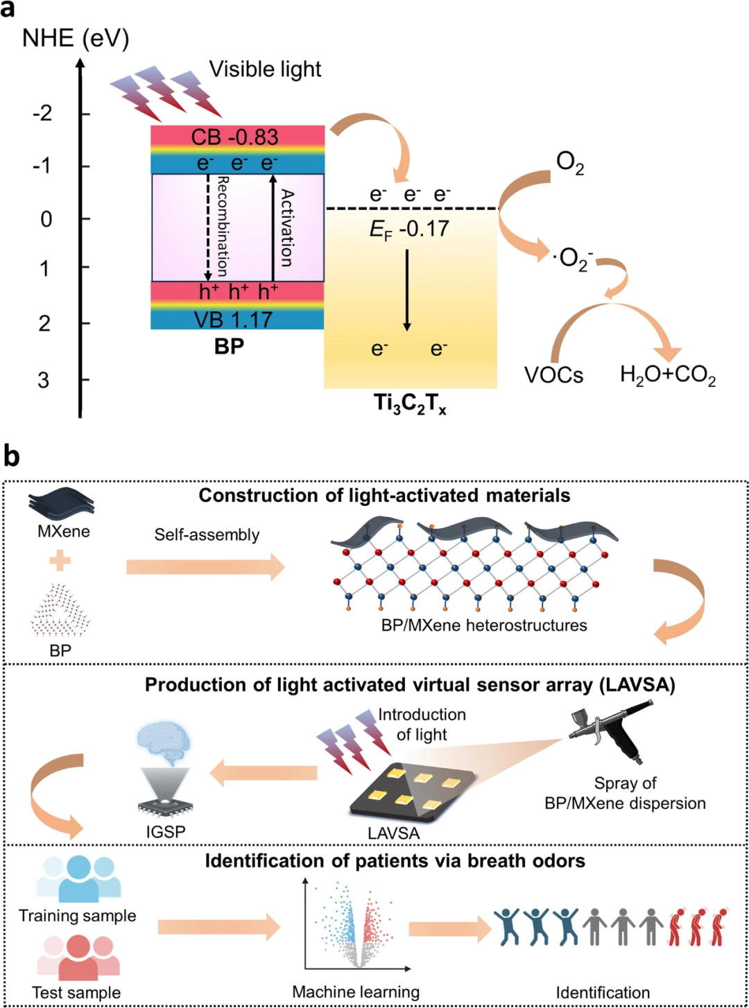 Light-Activated Virtual Sensor Array with Machine Learning for Non-Invasive Diagnosis of Coronary Heart Disease