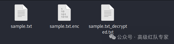[MalDev-17] Custom Encryption Algorithms and Elliptic Curves