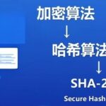 Comprehensive Analysis of Java SHA-256 Algorithm