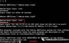 Exploiting Router Vulnerabilities: A Case Study on TP-LINK
