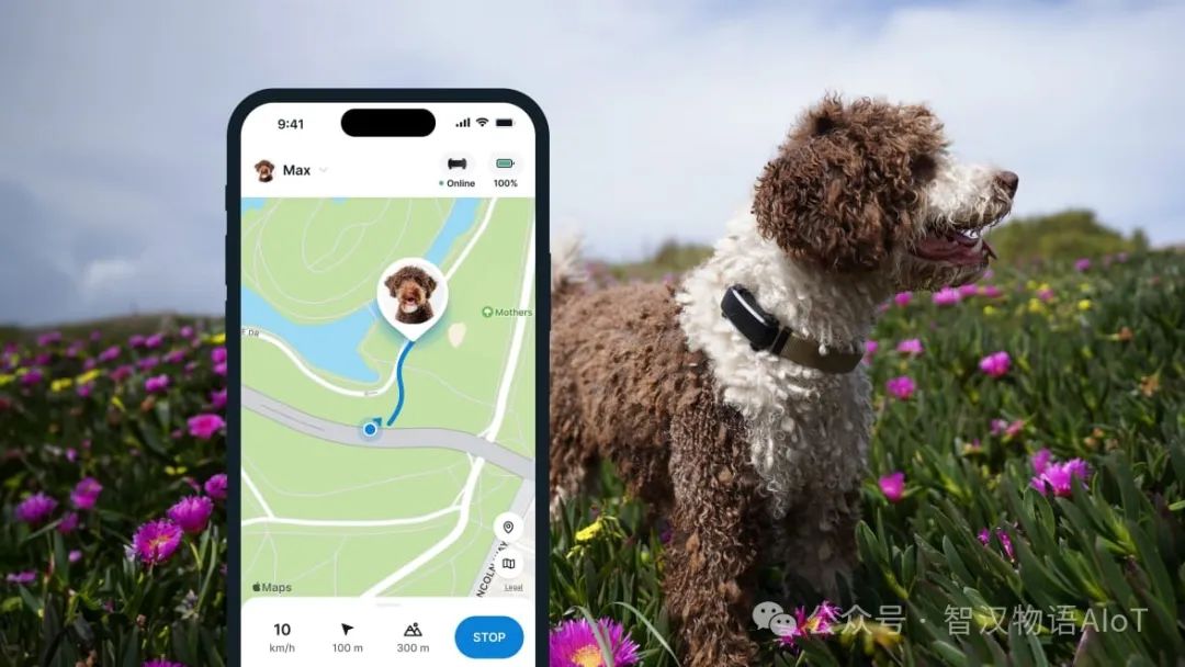 Smart Pet Tracker Solution Based on Bluetooth BLE Technology