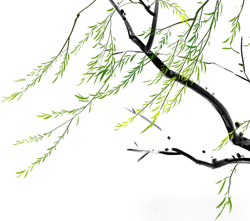 Performance Testing of SiFive HiFive Premier P550 RISC-V Linux