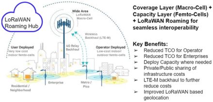 Business Cases for LoRaWAN Deployment