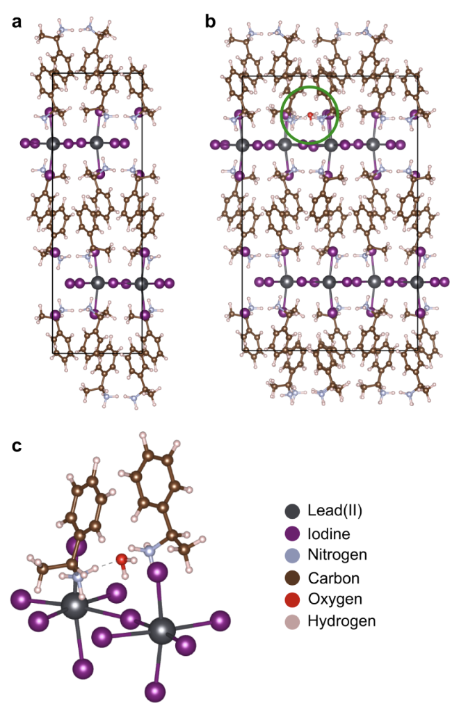 Humidity Disrupts Structural and Chiroptical Properties of Chiral 2D Perovskites