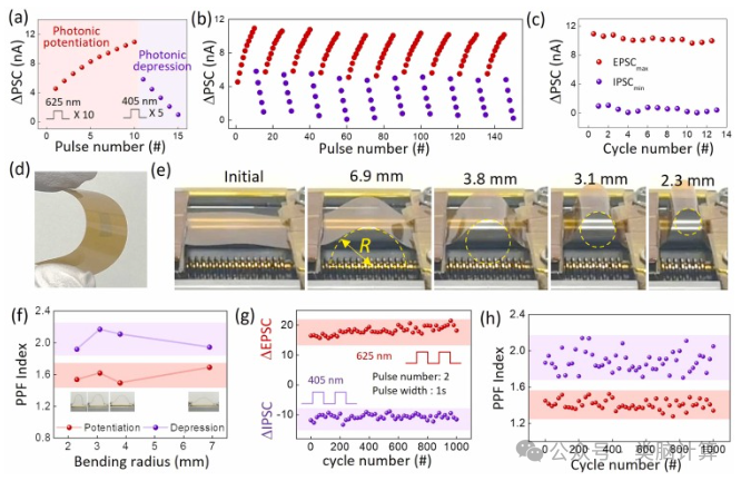 Nano Energy: Wafer-Level Flexible Two-Dimensional PtSe2 Layers with Bidirectional Wavelength Tunability for All-Optical Synaptic Operations