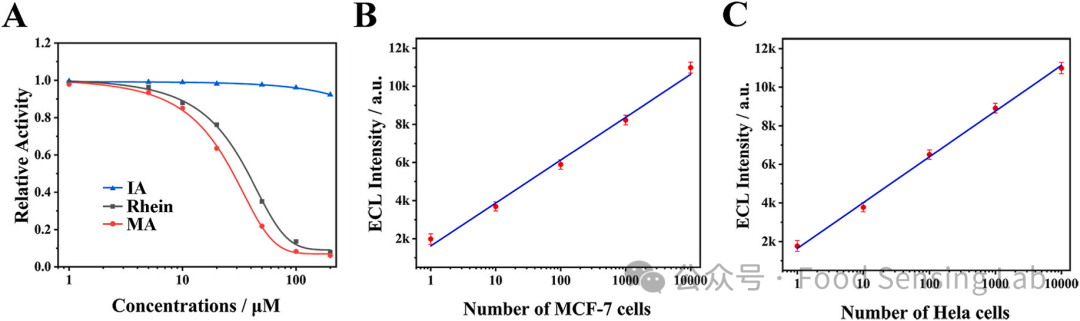 Detection of FTO Using a DNAzyme-Mediated CRISPR/Cas12a Signal Amplification Electrochemiluminescence Biosensor with C-CN/PCNV Heterojunction as Emitter