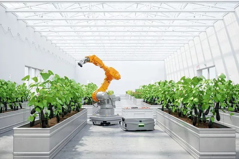 IoT Sensors: How the 'Invisible Steward' Works in Agriculture
